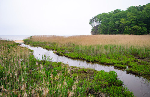 Chesapeake Bay Restoration Requirements 3